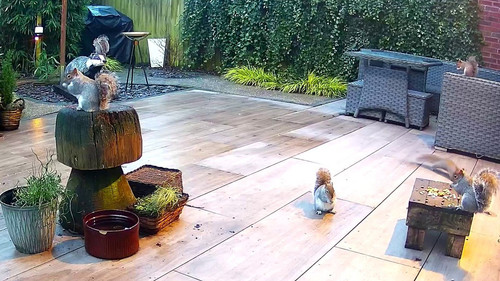 ZAwm3r7zkQr74C 1.jpg