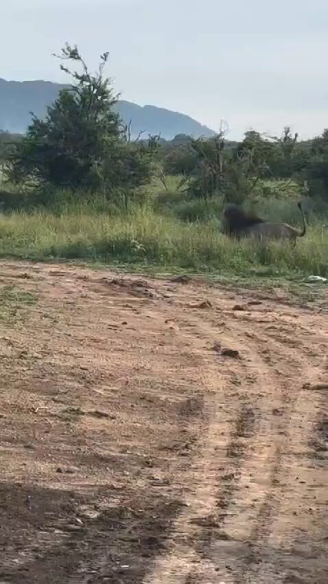 O UsetmhtMgHCHMU.jpg