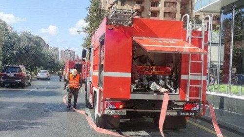 484312502 962998349351714 6630924548787787092 n.jpg? nc cat=110&ccb=1 7& nc sid=833d8c& nc ohc= kKQo.jpg