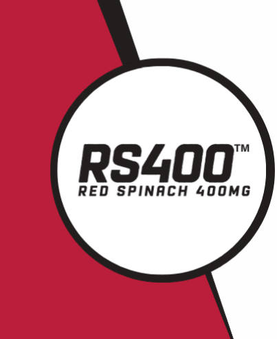RS400 Logo (2).png