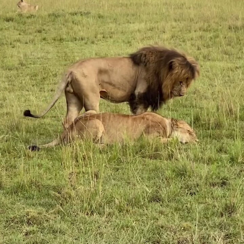 s9qEn z2XpJ0ixQD.jpg