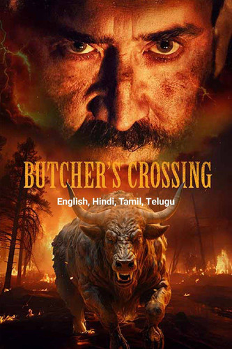 IMG 20250314 233958 111.jpg