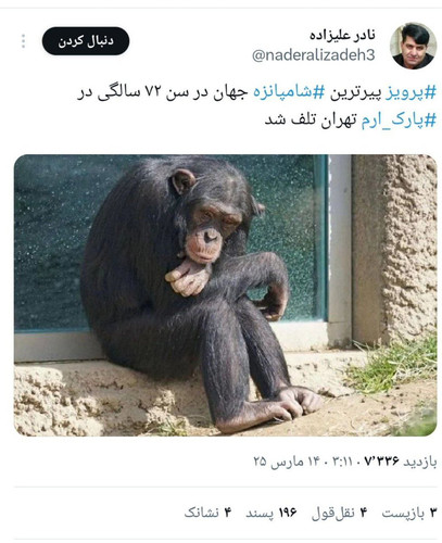 GmCKmXmW8AAOYUB.jpg