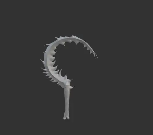 image (5).webp
