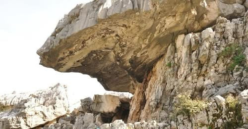 8263111389125282062?url=https%3A%2F%2Fshqiptarja.com%2Fuploads%2F780x440%2F1742042120 shpellaelepeni.jpg