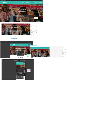 Brands pages Issue2.png