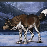 Screenshot 2025 03 14 01 42 45 784 com.android.chrome edit