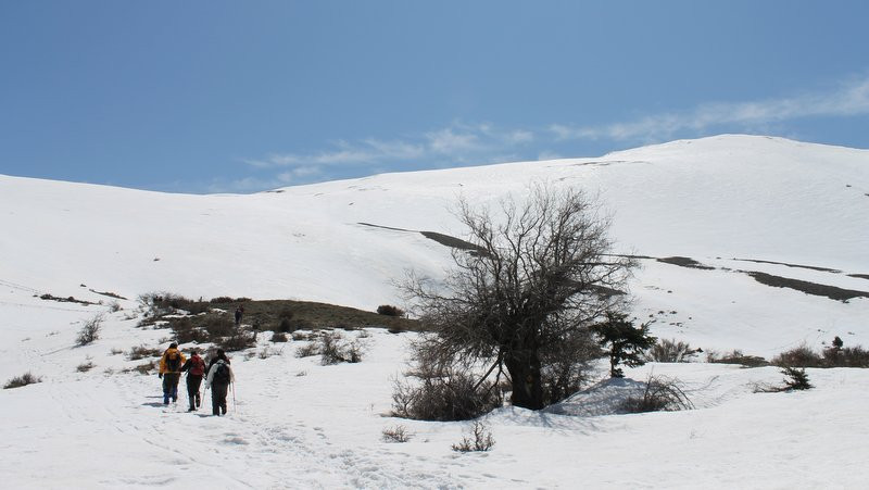 κοζάνη, ειδήσεις, νέα, Πτολεμαΐδα 