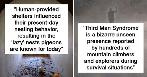 explain complex things like im five fb19 png 700.jpg