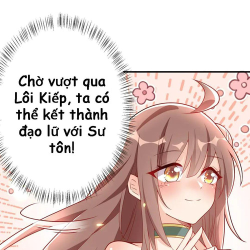 113.jpg