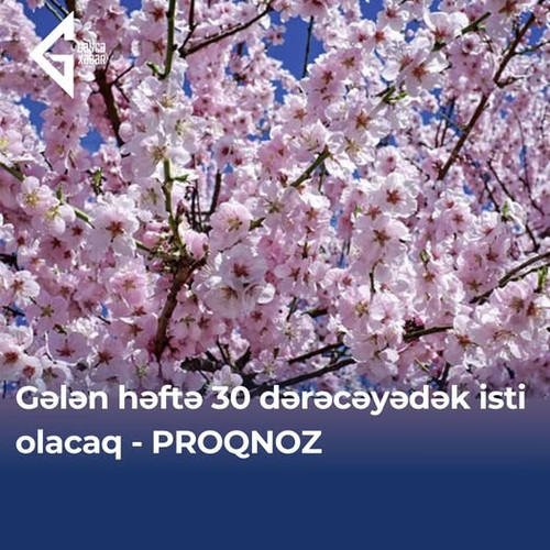 483444049 683270344051983 3002258081985919922 n.jpg?stp=dst jpg p526x296 tt6& nc cat=105&ccb=1 7& nc.jpg