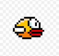 bird.jpg