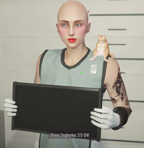 FiveM GTAProcess qTvtcVQaRr.png