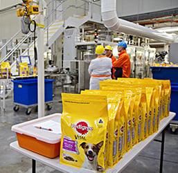 pedigree 01.jpg