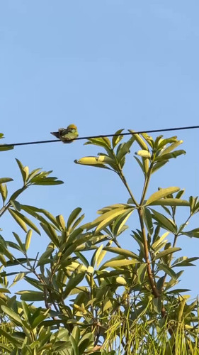 l 2XF2ReYipAArnq.jpg