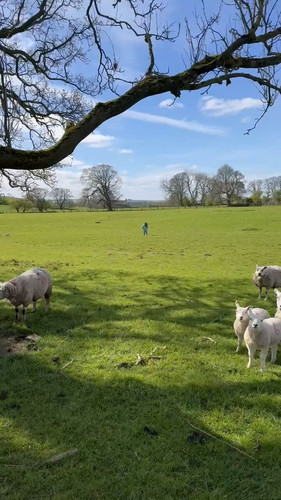 jm07jIATBmXhch8 .jpg