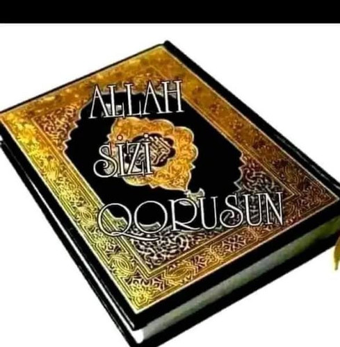 484118060 1004421084981327 5862946373217101868 n.jpg?stp=dst jpg s600x600 tt6& nc cat=106&ccb=1 7& n.jpg