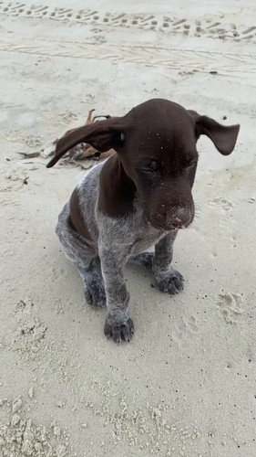 jRaxFYMnro q7UAg.jpg