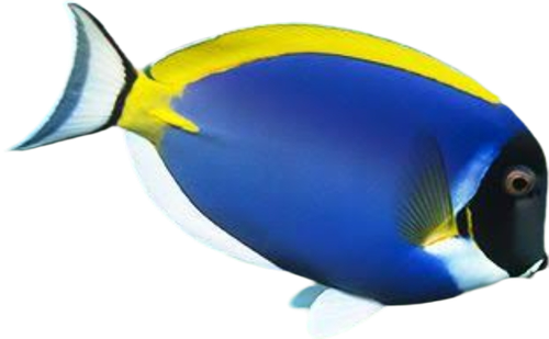 1000097188.png