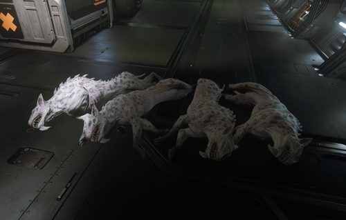 DEAD KOPIONS.png