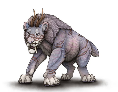IMG 4290.png