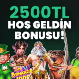 vadicasino 300x250.gif