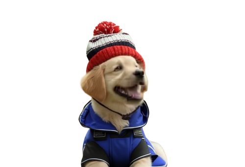 3783c1c9a296.png
