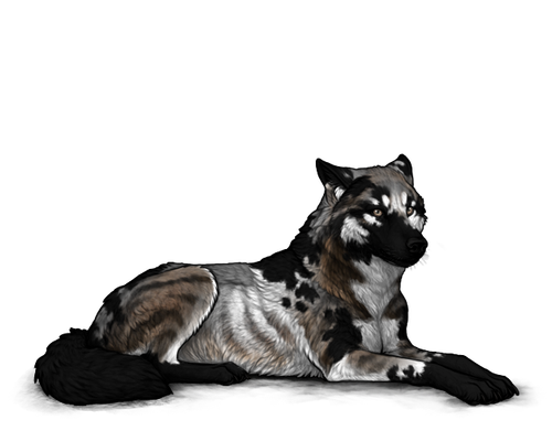 equipper wolf image.png