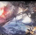 IMG 3749.gif