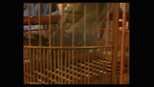 The.Duke.of.Mount.Deer.S01E01.2160p.WEB DL.VP9.AAC HHWEB.mkv 20250315 030220.836.png