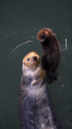 hTLrpZV bCO1XoTg.jpg