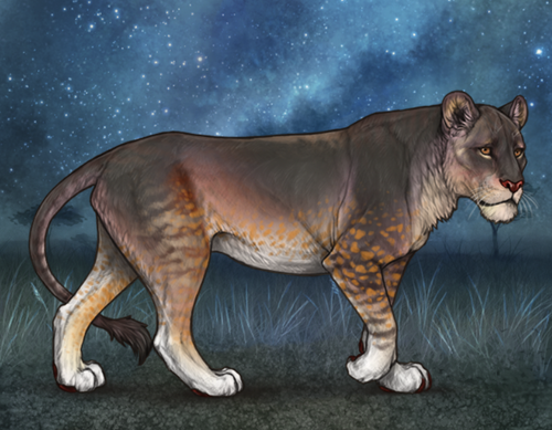 obraz 2025 03 15 152641177.png