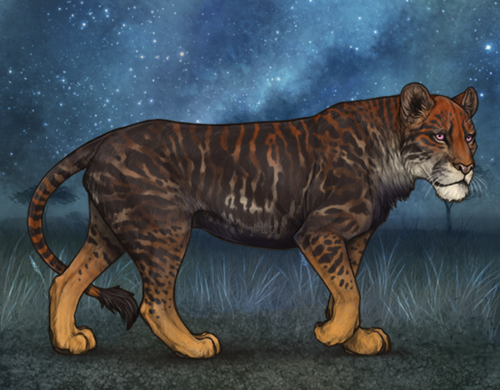 obraz 2025 03 15 150550418.png