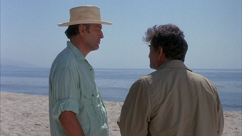 Columbo.S09E01.Murder.a.Self.Portrait.1080p.BluRay.CZ EN.AC3.x265.HEVC My.mkv snapshot 00.30.44 [202.jpg