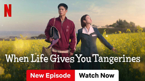 036cc1d4 7fa8 4faf a9a9 1fd8320e798b.jpg