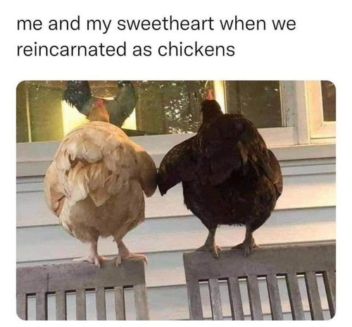 476345396 3514585762180837 6309728011404054948 n.jpg