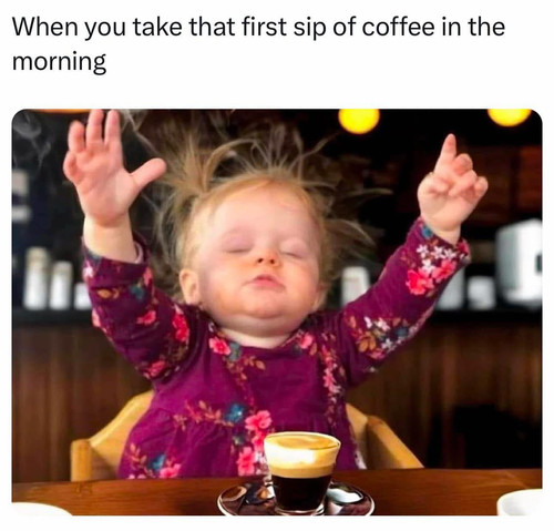 480326115 122112464636779894 8369320537910423337 n.jpg