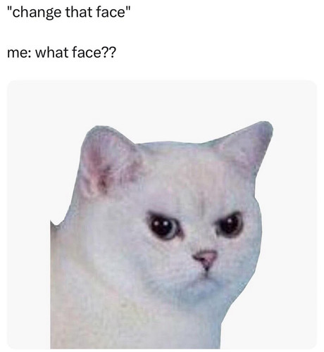 483936130 122116300496741818 4315206354607541602 n.jpg