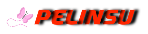 Pelinsu 09 03 2025 (1).png