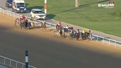 df5FGI7qzzgD4u2 .jpg