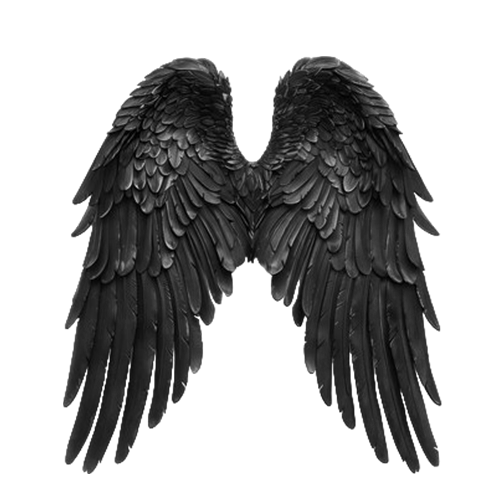 Tumblr l 198610177979442.png