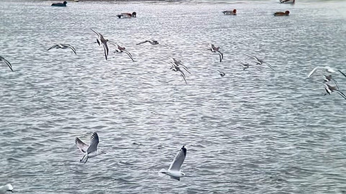 pcwJ dbOpTTENC8n.jpg