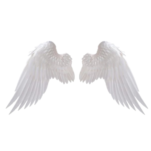 Tumblr l 198606352805953.png