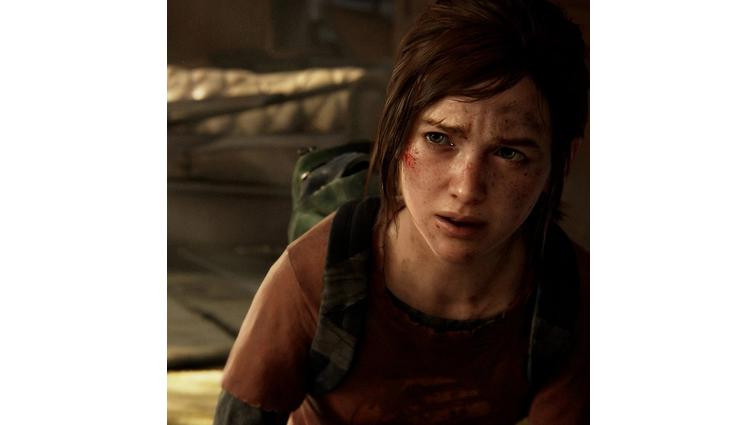 None The Last of Us: all the news about the video game franchise turned TV series