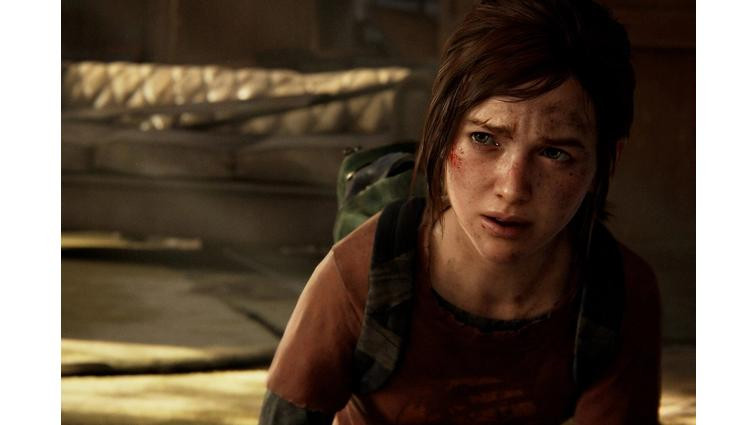 None The Last of Us: all the news about the video game franchise turned TV series