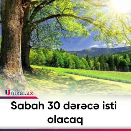 485059473 622578430588097 6603526594973440755 n.jpg?stp=dst jpg s600x600 tt6& nc cat=109&ccb=1 7& nc.jpg