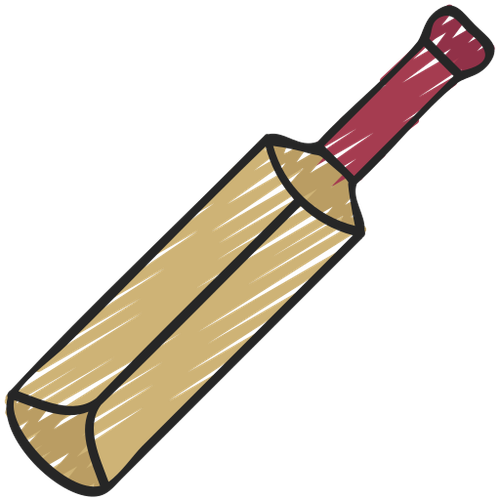 cricket bat.png