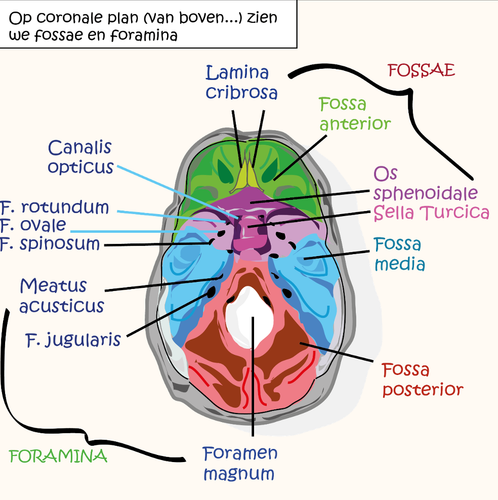 e462622b0567.png