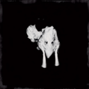 61026181514f.png