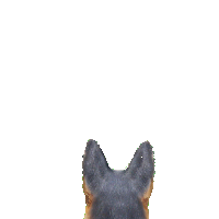 33707eb16df2.png